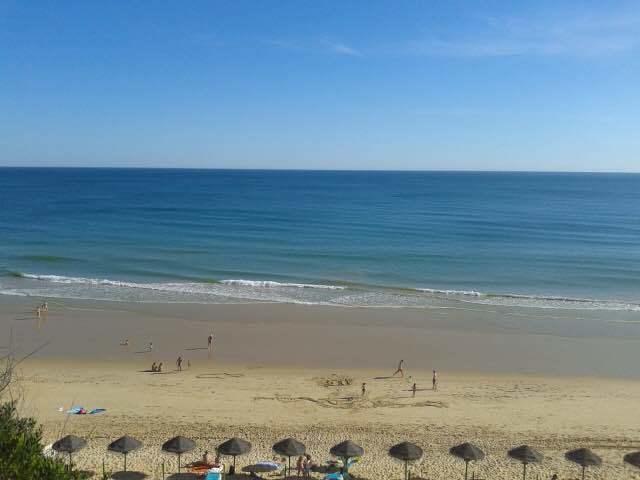 2 Bedroom Apartment Falesia Beach Albufeira Værelse billede